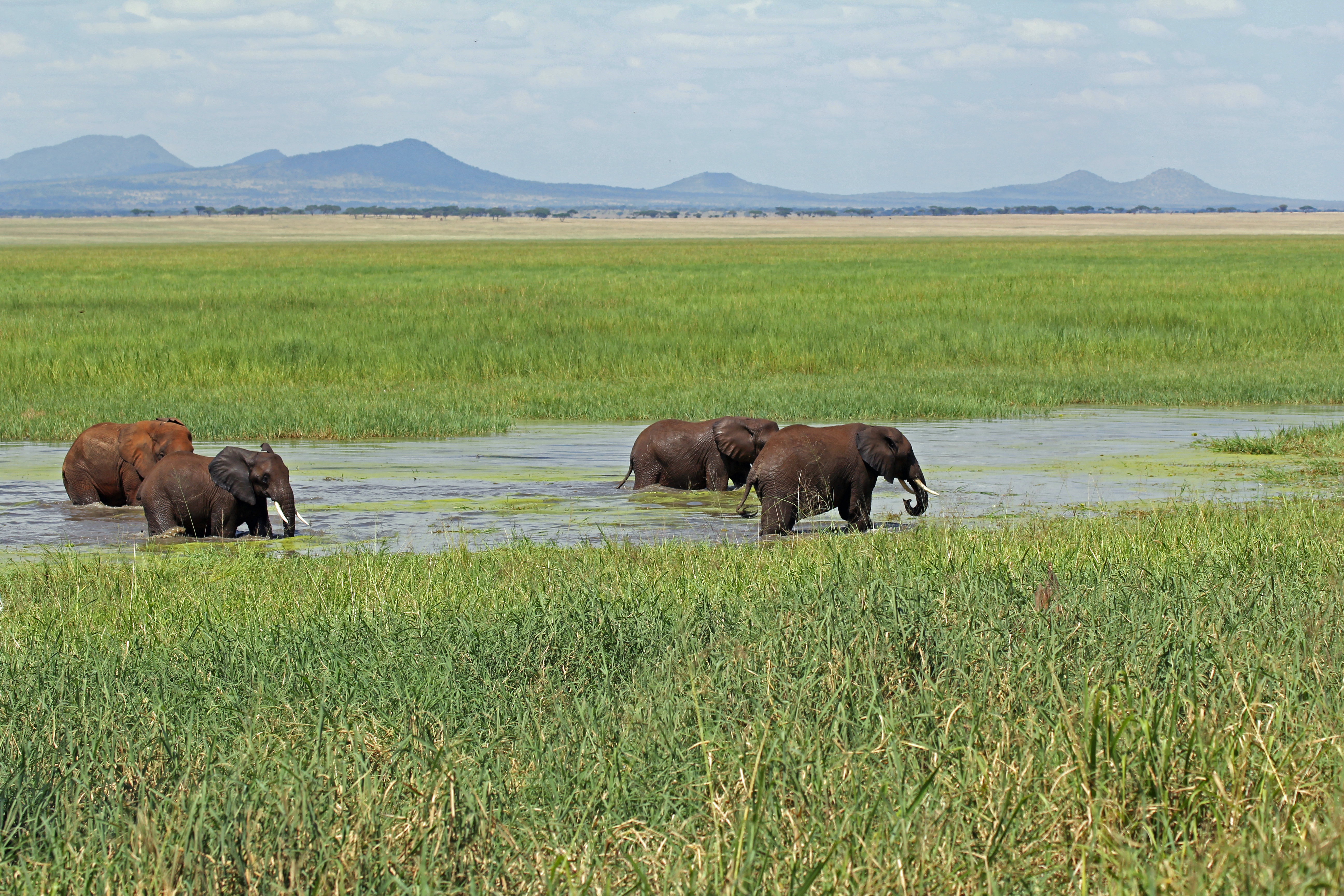 Northern Circuit Safari